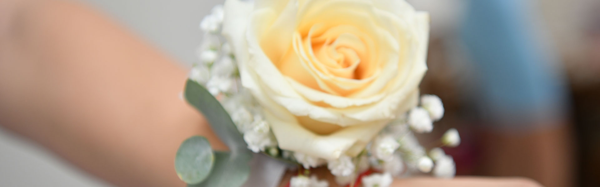 cover_bg